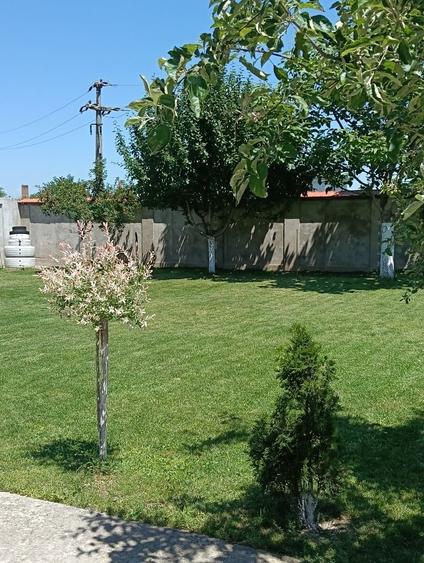 Casă cu 4 camere în Șimian