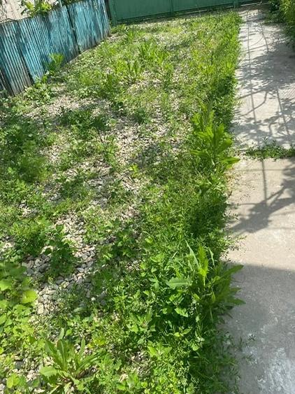 Casă cu 3 camere cu Teren 1200 Mp în Lucieni