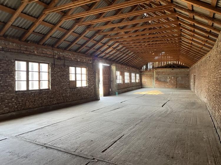 Teren Construcții intravilan de 16058 mp, în Țiglari