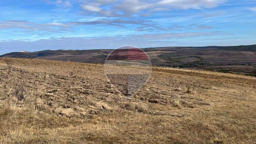 Teren agricol extravilan de 4000 mp, în Pădureni (Ciurila)
