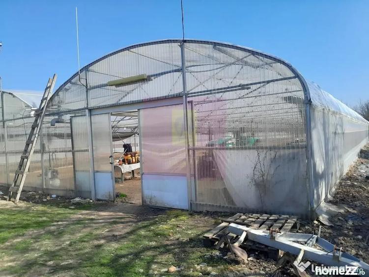 Teren în Roșiori