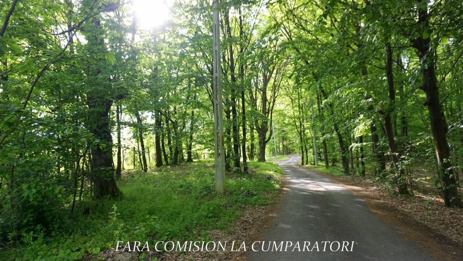 Teren Construcții intravilan de 1255 mp, în Băile Govora