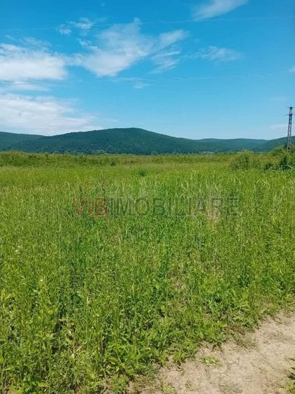 Teren de 7500000 mp, în Conop