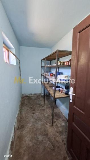 Casă cu 3 camere în Teiu