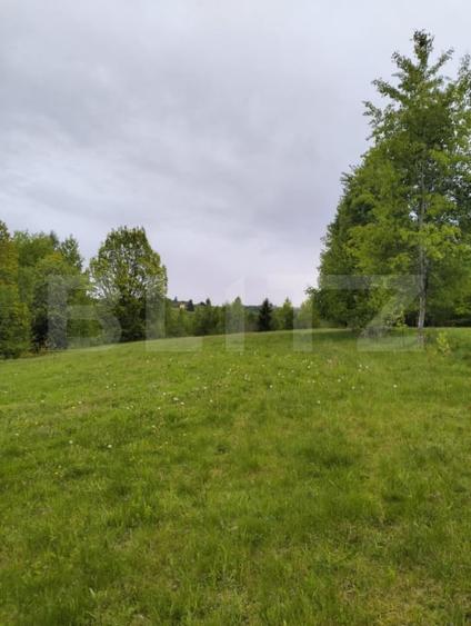 Teren agricol extravilan de 7000 mp, în Gilău
