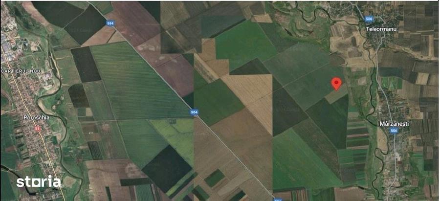 Teren de 5000 mp, în Sud