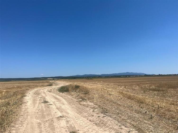 Teren agricol extravilan de 44000 mp, în Olcea
