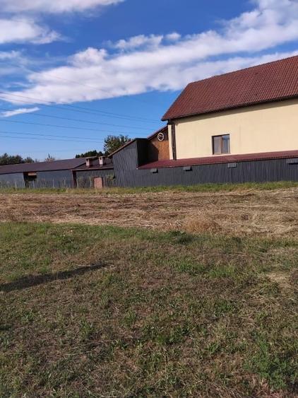 Teren Construcții intravilan de 2600 mp, în Livezile
