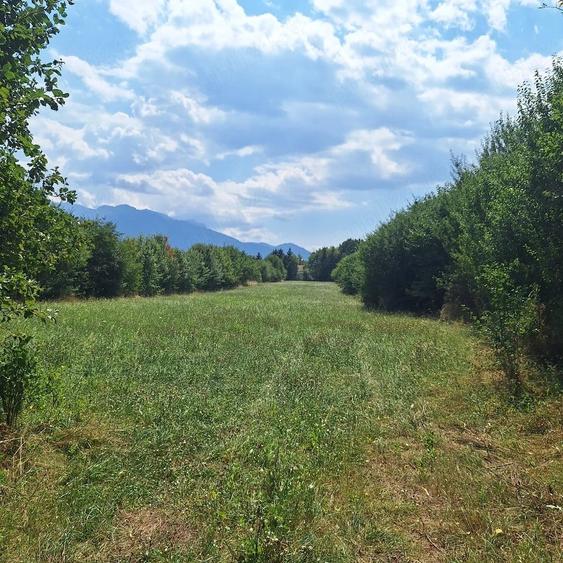 De vanzare teren extravilan viitor intravilan - 3