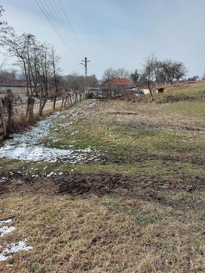 Teren de 1305 mp, în Valea Crișului