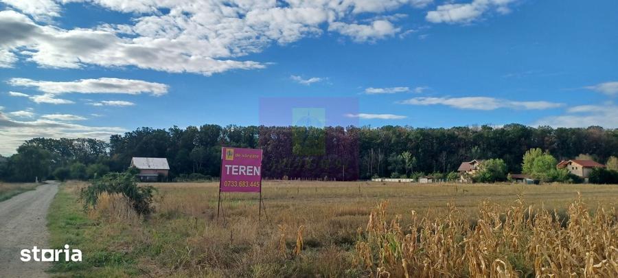 Teren de 11157 mp, în Tărtășești