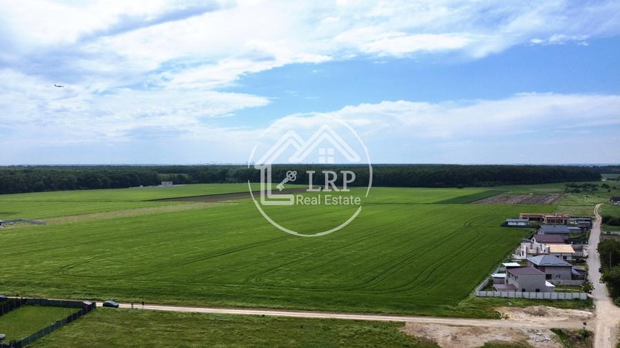 Teren Construcții intravilan de 25000 mp, în Dascălu
