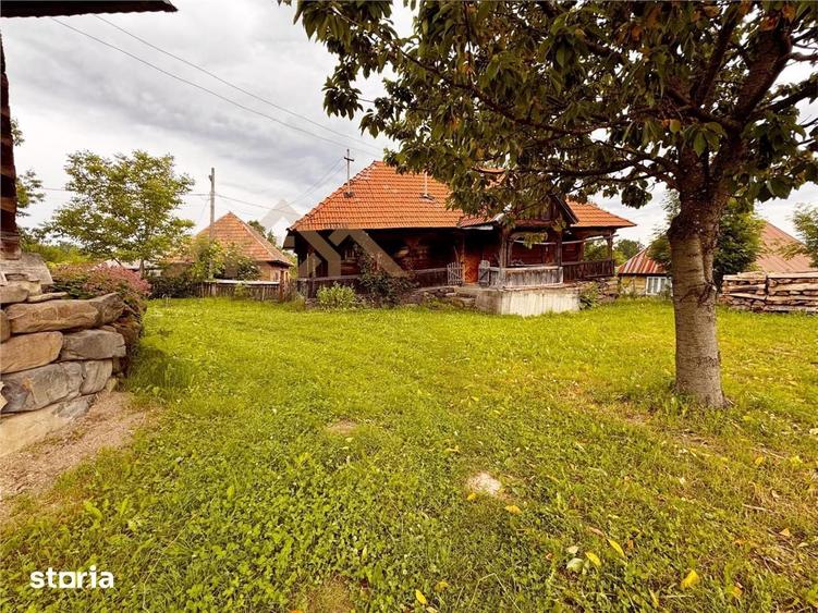 Casă cu 3 camere cu Teren 5300 Mp în Ocna Șugatag
