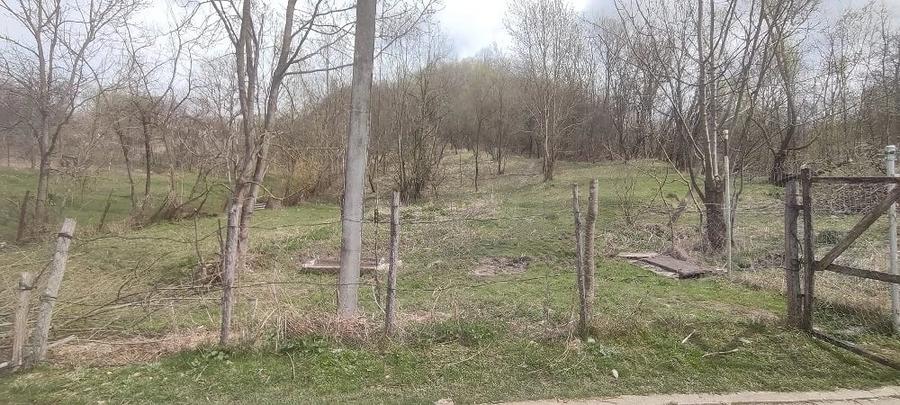 Teren de 2500 mp, în Central