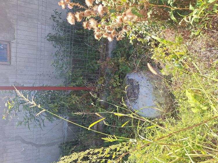 Casă cu 2 camere cu Teren 1471 Mp în Ciolănești
