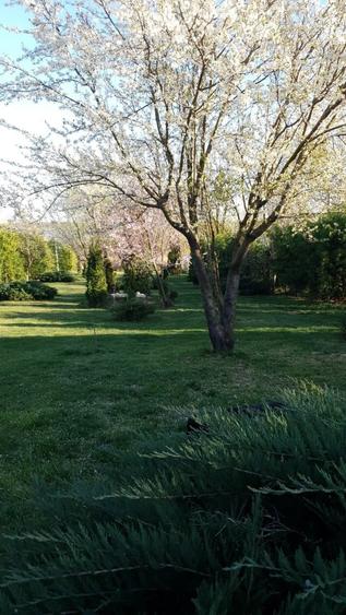 Casă individuală cu 6 camere cu Canalizare în Crevedia