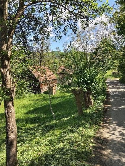 Casă individuală cu 4 camere cu Teren 2450 Mp în Luncoiu de Sus