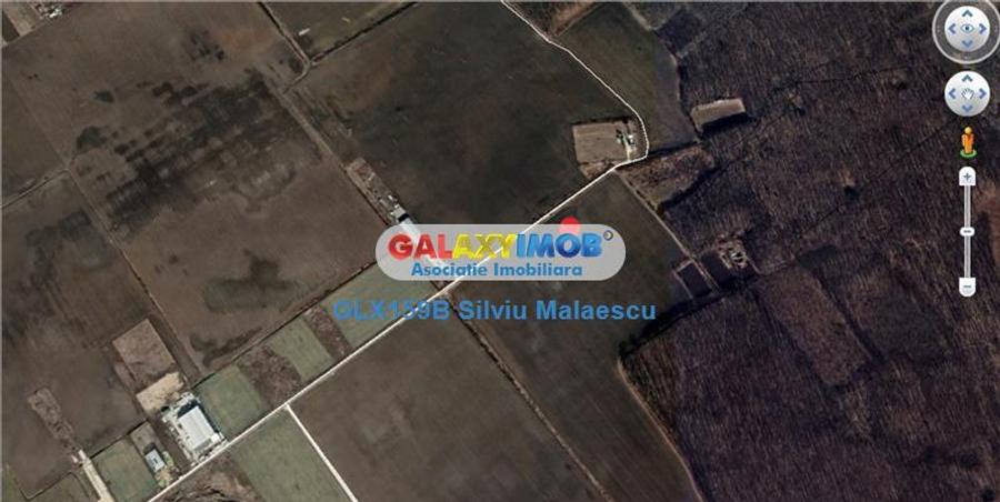 Teren Construcții intravilan de 8601 mp, în Sud