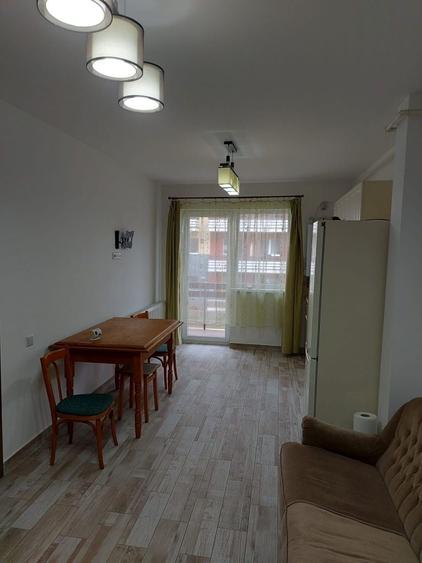 Apartament cu 2 camere decomandat în Luminiș