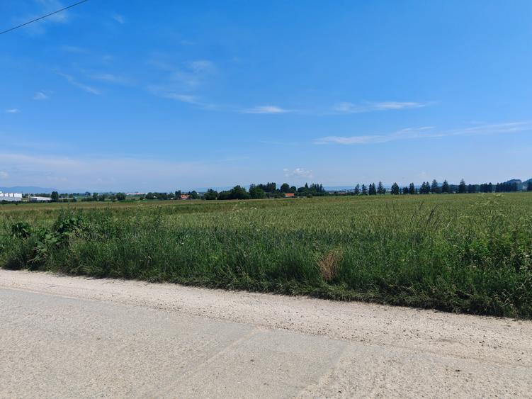 Teren Construcții intravilan de 16000 mp, în Cristian