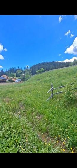 Vand teren la munte Bucovina INTRAVILAN - 4