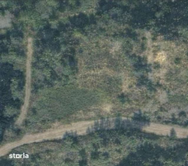 Teren de 6200 mp, în Tăuții-Măgherăuș