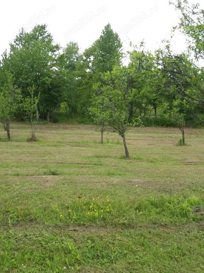 Teren de 20000 mp, în Rădulești