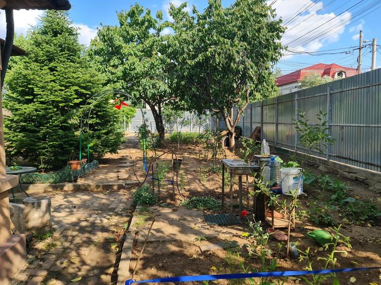 Casă cu 3 camere în Alexandriei