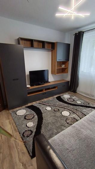 Apartament cu 2 camere semidecomandat în Drumul Carului