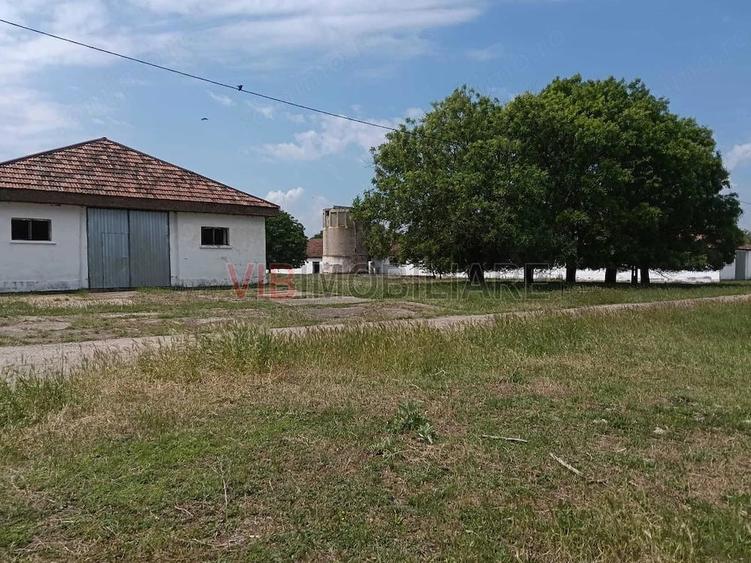 Ferma complet utilata 30 ha teren comasat cu 11.500mp grajduri renovate Timi? Comuna Biled - 10