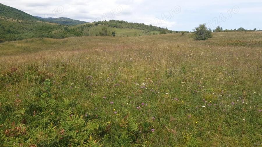 Teren de 500 mp, în Sălicea