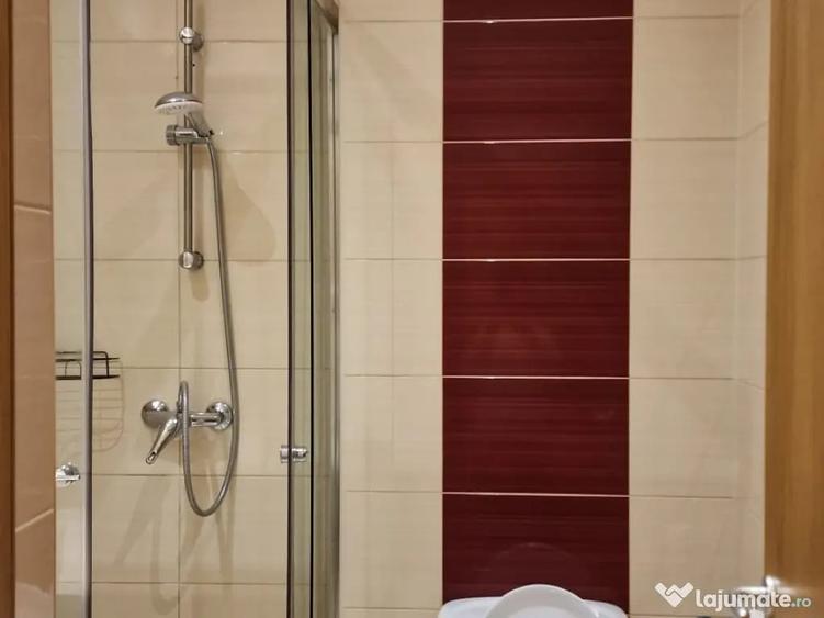 Apartament 3 camere aeroport Otopeni Rin hotel - 5