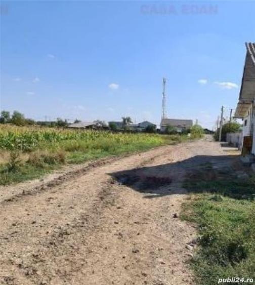 Teren de 7444 mp, în Dărmănești