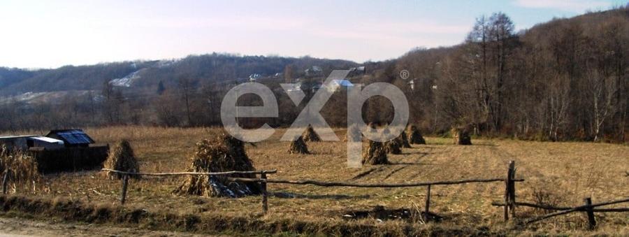 Teren Construcții intravilan de 21000 mp, în Bogați