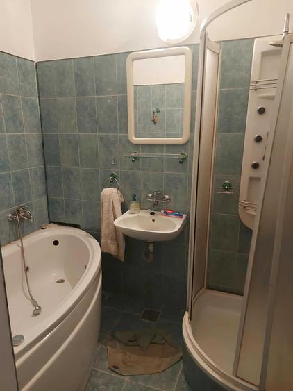 De inchiriat - Apartament spatios cu 3 camere, 100 mp, parter, str. Nicolae Iorga - 7