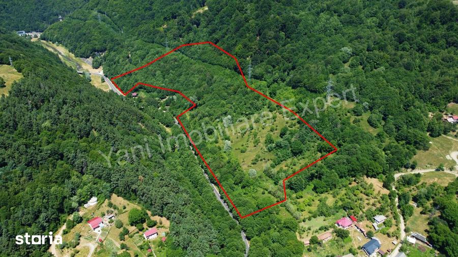 Teren de vanzare pe Transfagara?an ( 75.200 mp ) - 12