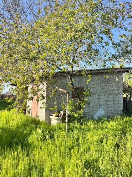 Casă individuală cu 5 camere cu Teren 3706 Mp în Butimanu