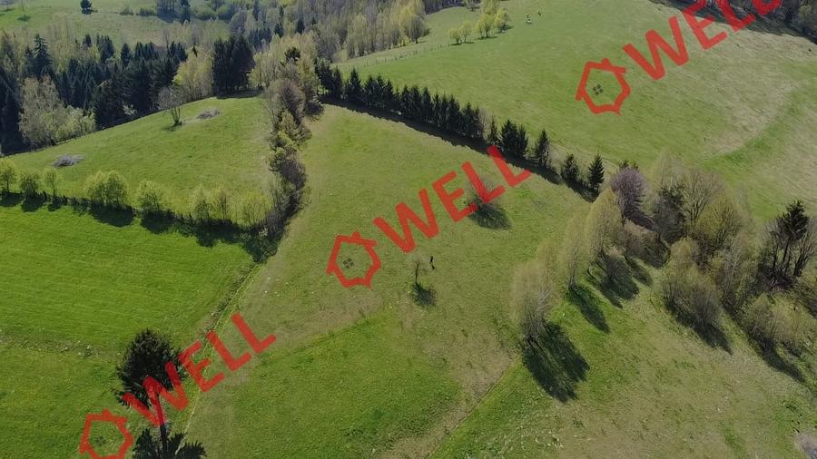 Teren extravilan de 8157 mp, în Sita Buzăului