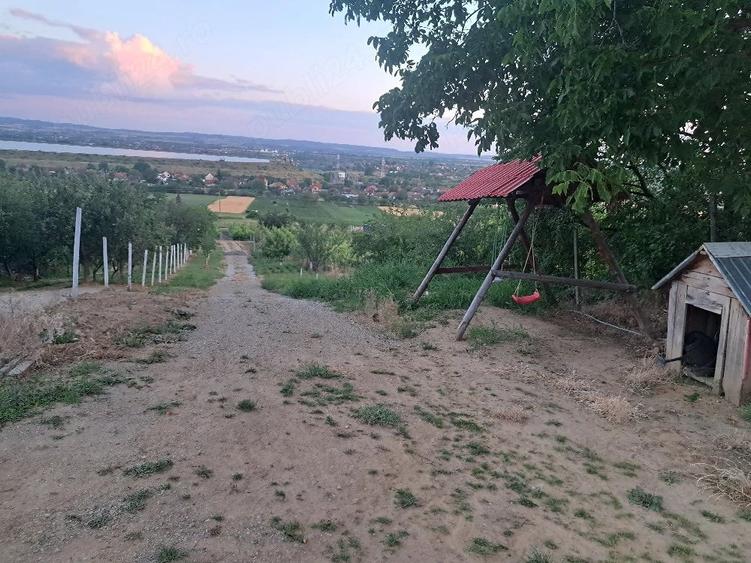 Teren de 1300 mp, în Tileagd