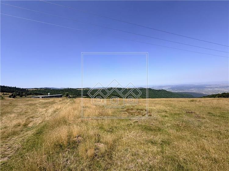 Teren agricol extravilan de 3825 mp, în Păltiniș