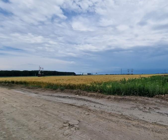 Teren Construcții intravilan de 30000 mp, în Ștefăneștii de Jos