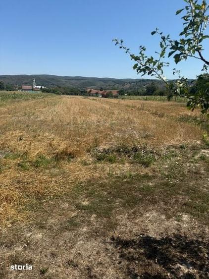 Teren de 3100 mp, în Brusturi