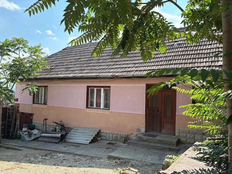 Casă cu Teren 700 Mp în Cut