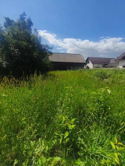 Teren Construcții intravilan de 10000 mp, în Măneuți