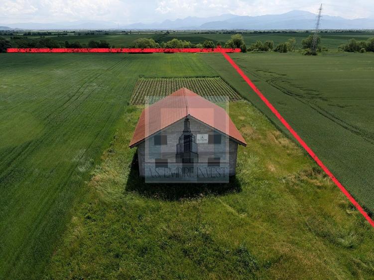 Teren Construcții intravilan de 50000 mp, în Hălchiu