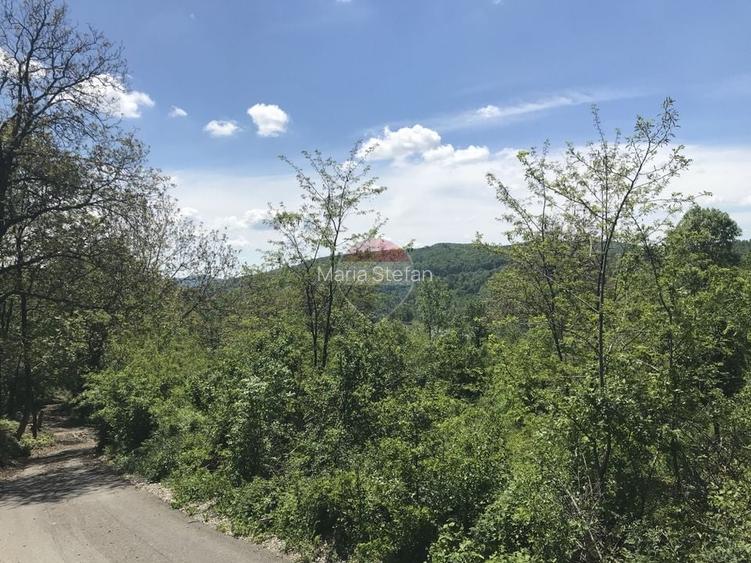 Vanzare Teren INTRAVILAN Padure 2,511mp BREBU MANASTIREI PRAHOVA