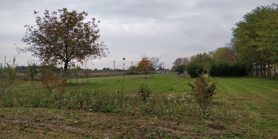 Spațiu comercial, în Gorgota