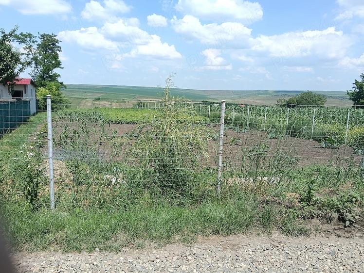 Teren de 2950 mp, în Unțeni
