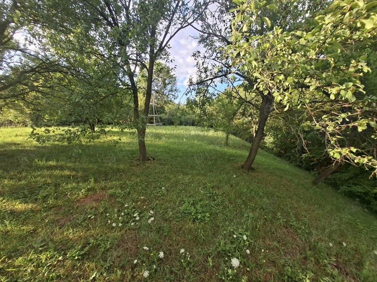 Teren de 5524 mp, în Poiana