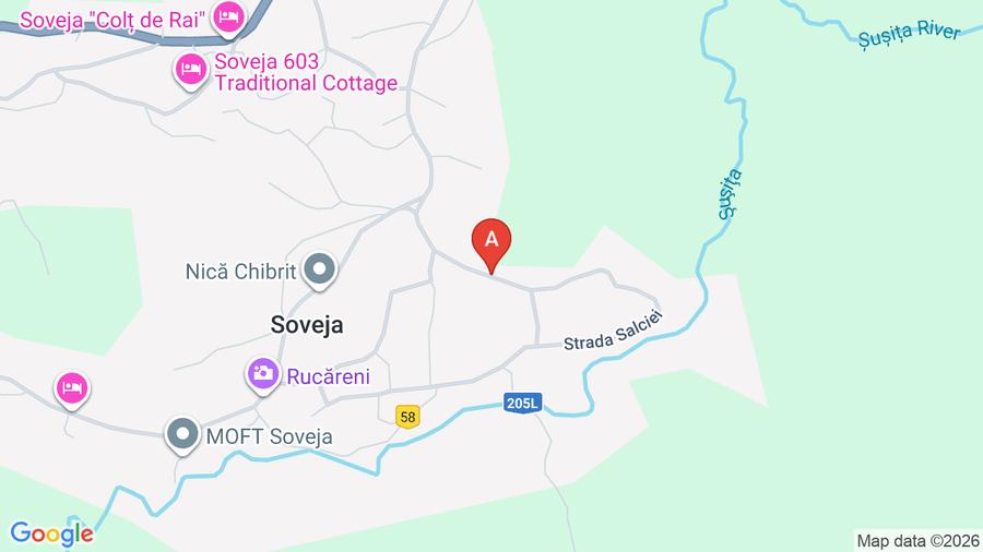 Teren agricol extravilan de 290 mp, în Soveja